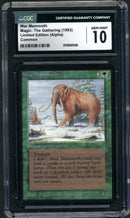 War Mammoth (LEA)