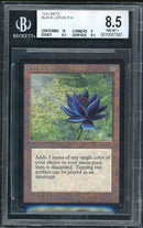 Black Lotus (LEB)