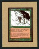 Garfield Event Card - Splendid Genesis Birth Announcement