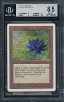 Black Lotus (UNL)