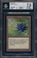 Black Lotus - Beta Edition