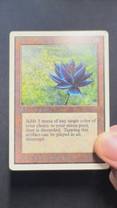 Black Lotus - Unlimited Edition