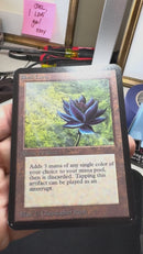 Black Lotus - Alpha Edition