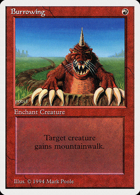 Burrowing (SUMMER)