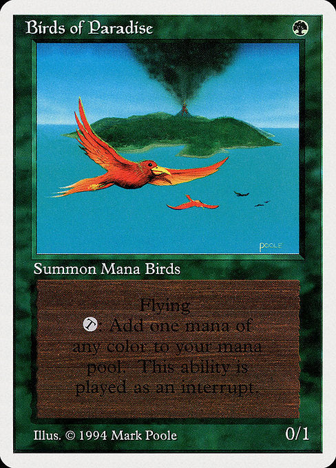 Birds of Paradise (SUMMER)