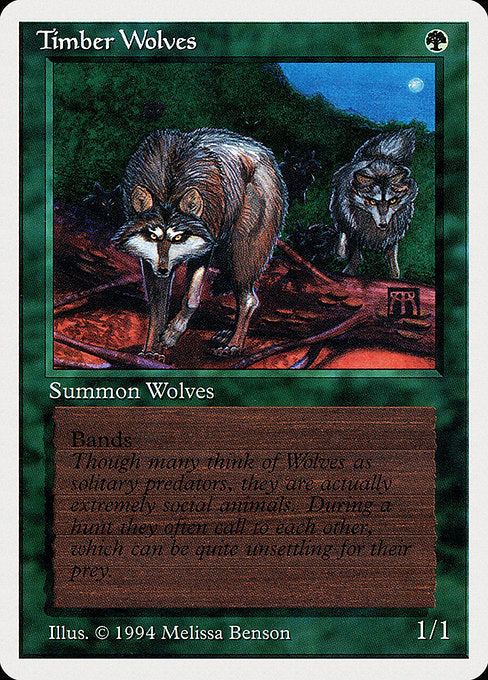 Timber Wolves (SUMMER)