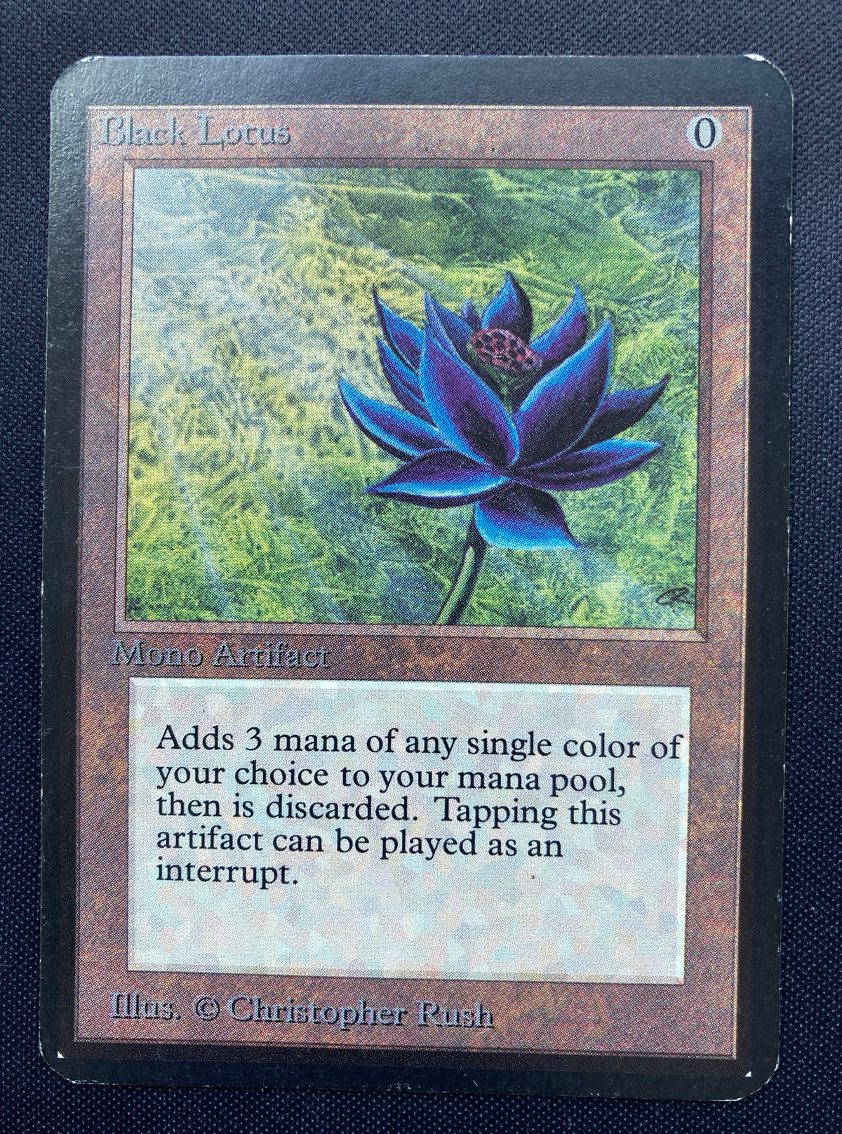 MTG【Blacker Lotus】アーティストプルーフ BGS 8.5 Beta Artist Proof Black Lotus (Christopher Rush