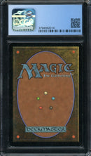 Birds of  Paradise (7ED)