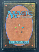 Living Artifact (LEA)