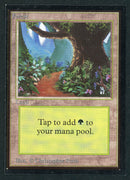 Forest (B) - Path (LEB-AP)