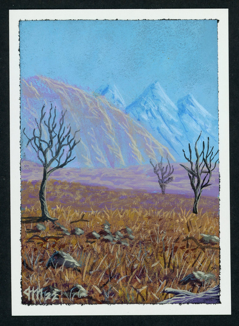 Scrubland (LEB-AP)