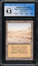 Elephant Graveyard (ARN)