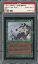 Aspect of Wolf (LEB)