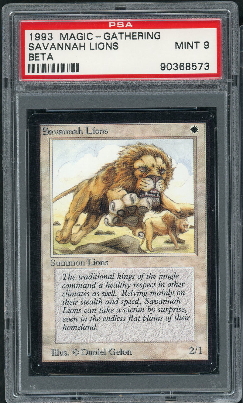 Savannah Lions (LEB)