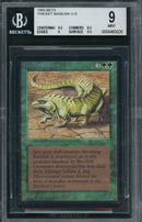 Thicket Basilisk (LEB)