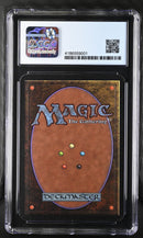 Animate Artifact (LEA)