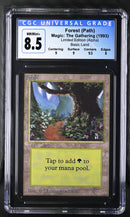 Forest (B) - Path (LEA)