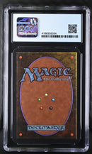 Forest (B) - Path (LEA)