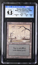 Swamp (B) - High Branch (LEA)