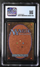 Swamp (B) - High Branch (LEA)