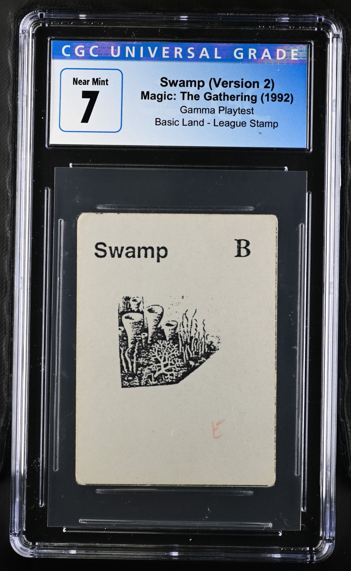 Swamp v.2