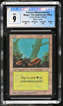 Forest (A) - Rocks (LEB)