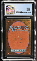 Forest (A) - Rocks (LEB)