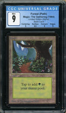 Forest (B) - Path (LEA)