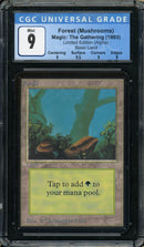 Forest (A) - Rocks (LEA)