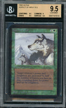 Aspect of Wolf (LEA)