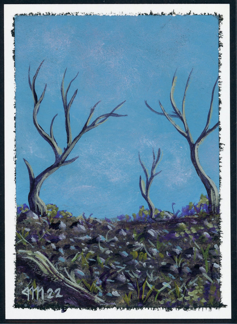 Scrubland (LEB-AP)