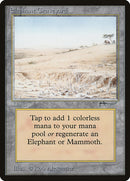 Elephant Graveyard (ARN)