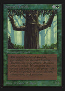 Ironroot Treefolk (CED)