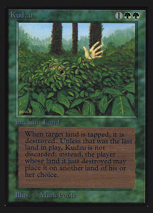 Kudzu (CED)