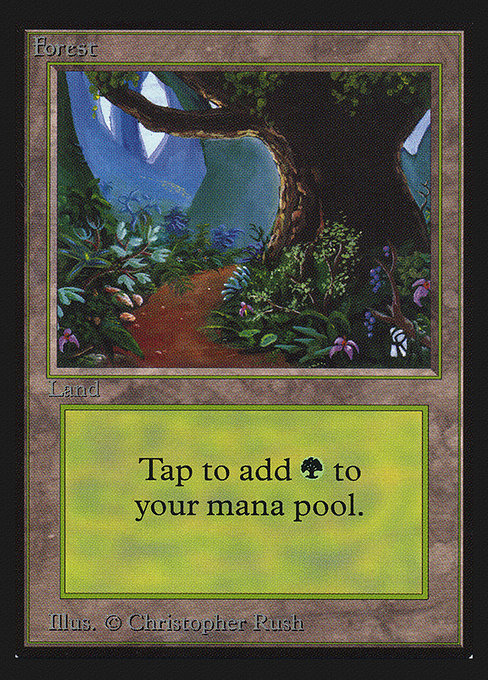 Forest (B) - Path (CED)