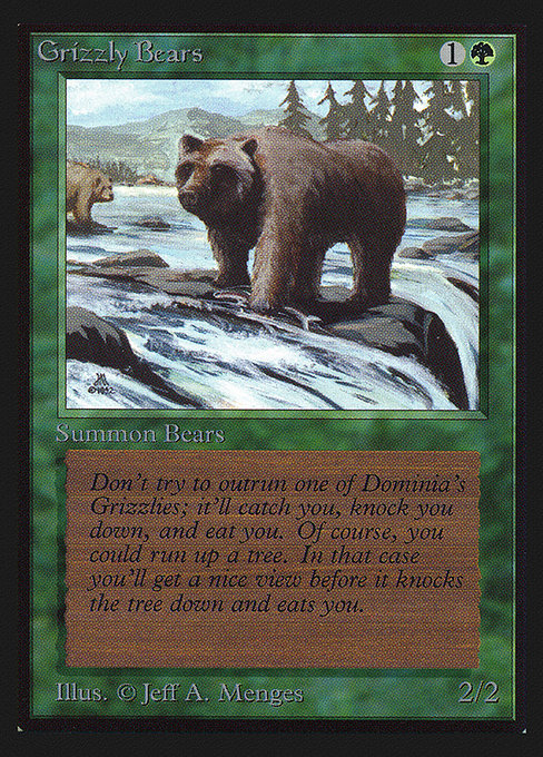 Grizzly Bears (CED)