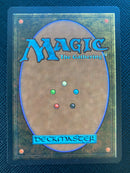 Swamp (A) - Low Branch (LEB)