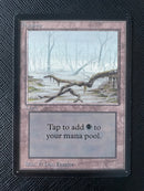 Swamp (A) - Low Branch (LEB)