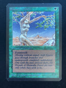 Shanodin Dryads (LEA)