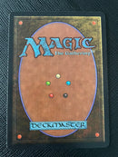 Forest (A) - Rocks (LEB)