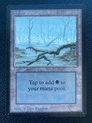 Swamp (A) - Low Branch (LEB)