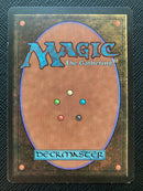 Veteran Bodyguard (LEB)