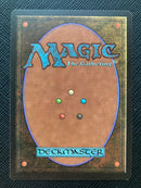 Northern Paladin (LEB)