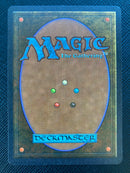 Hasran Ogress (light) (ARN)