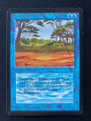 Phantasmal Terrain (LEA)