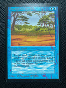 Phantasmal Terrain (LEA)