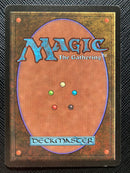 Force of Nature (LEB)