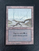 Swamp (A) - Low Branch (LEB)