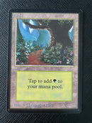 Forest (B) - Path (LEB)