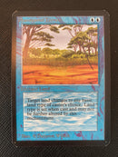 Phantasmal Terrain (LEA)